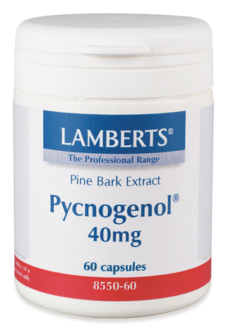 PYCNOGENOL 40 mg (Maritime pine bark â martall extrakt proantocyanidiner) (60 kapslar)