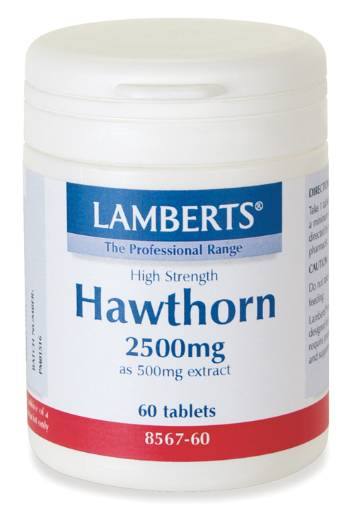 HAGTORN 2500mg (Hawthorne flavonoider rutin proantocyanidiner extrakt) (60 tabletter)